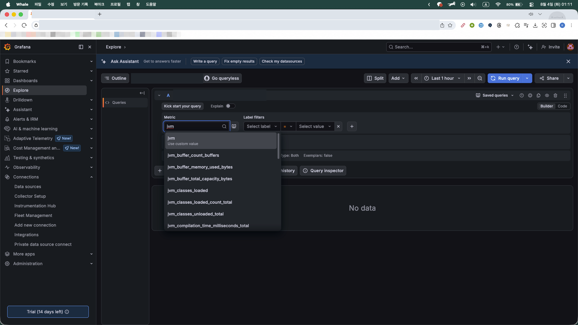 Grafana Explore에서 확인한 JVM 메트릭 목록